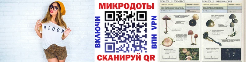 Галлюциногенные грибы GOLDEN TEACHER Слюдянка