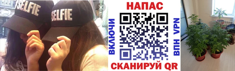 Каннабис ГИДРОПОН Слюдянка